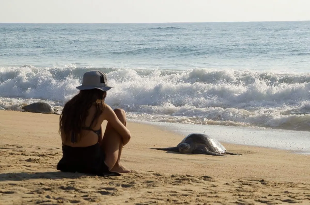 Las playas de Michoacán te esperan para una escapada inolvidable este verano