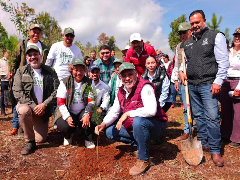 Michoacán referente en cuidado ambiental; plantarán 2.5 millones de árboles en la cuenca del lago de Pátzcuaro: Bedolla