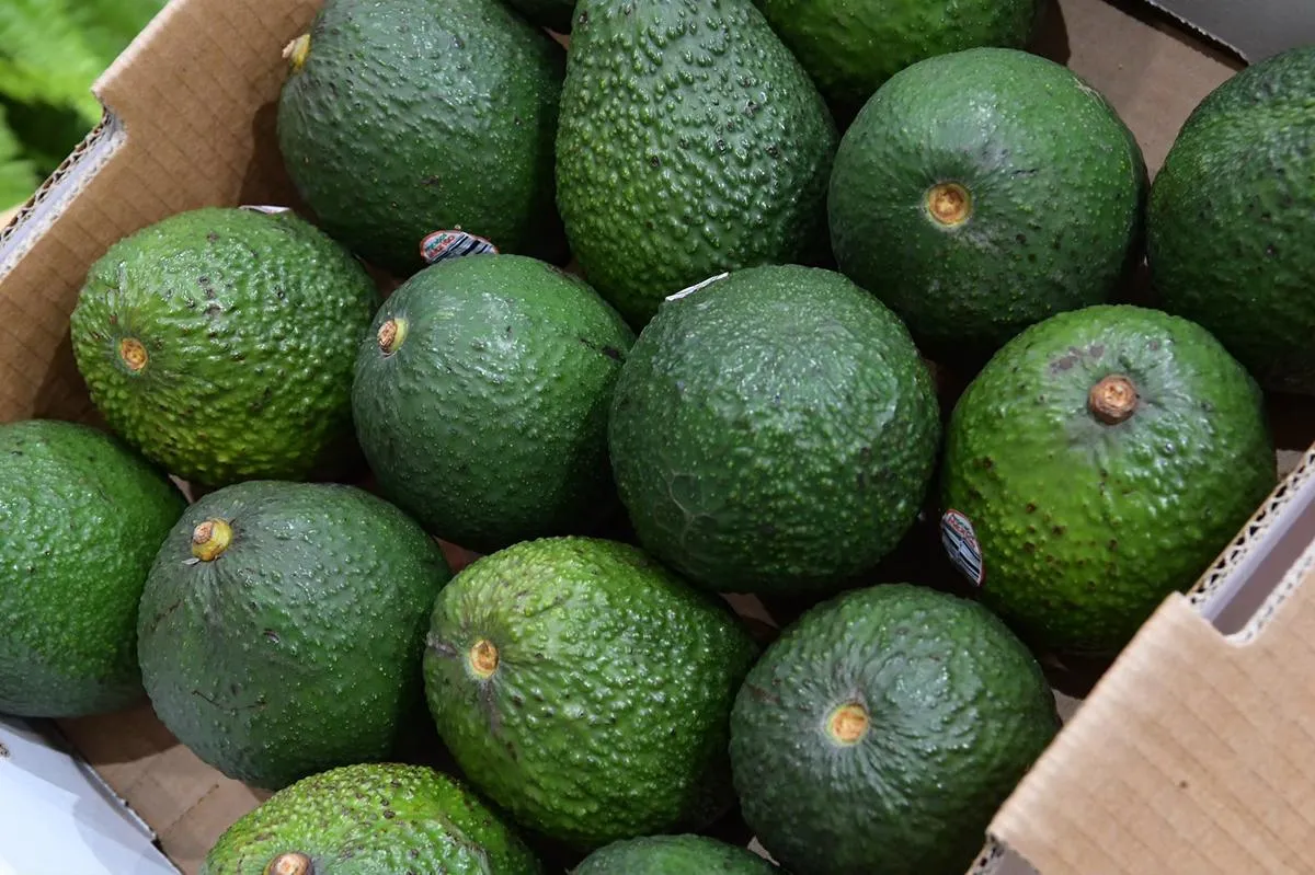 Michoacán, referente nacional en la protección del patrimonio gastronómico