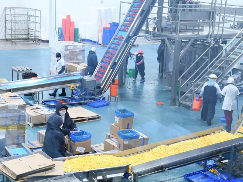 Minería y manufactura impulsan la actividad industrial de Michoacán