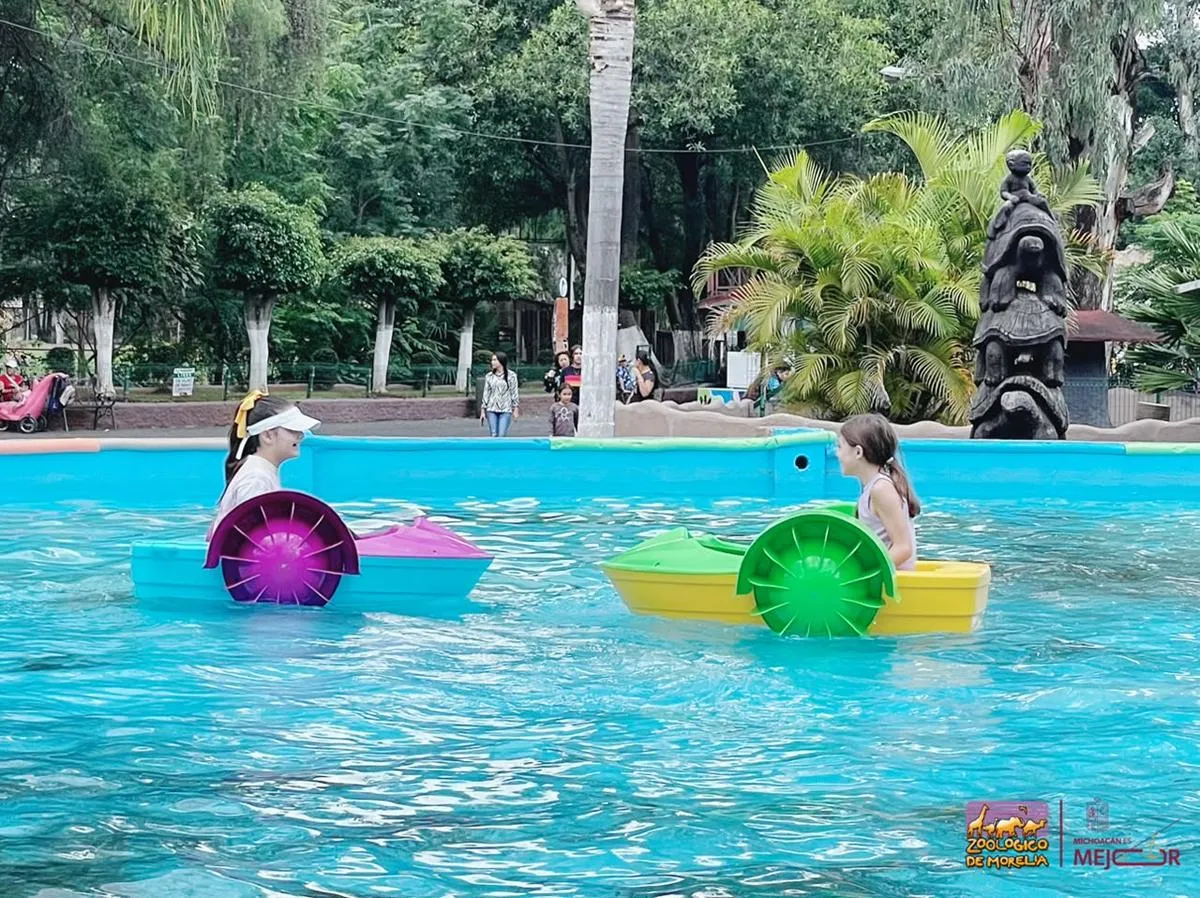 ¡Navega hacia la diversión en el Zoológico de Morelia!