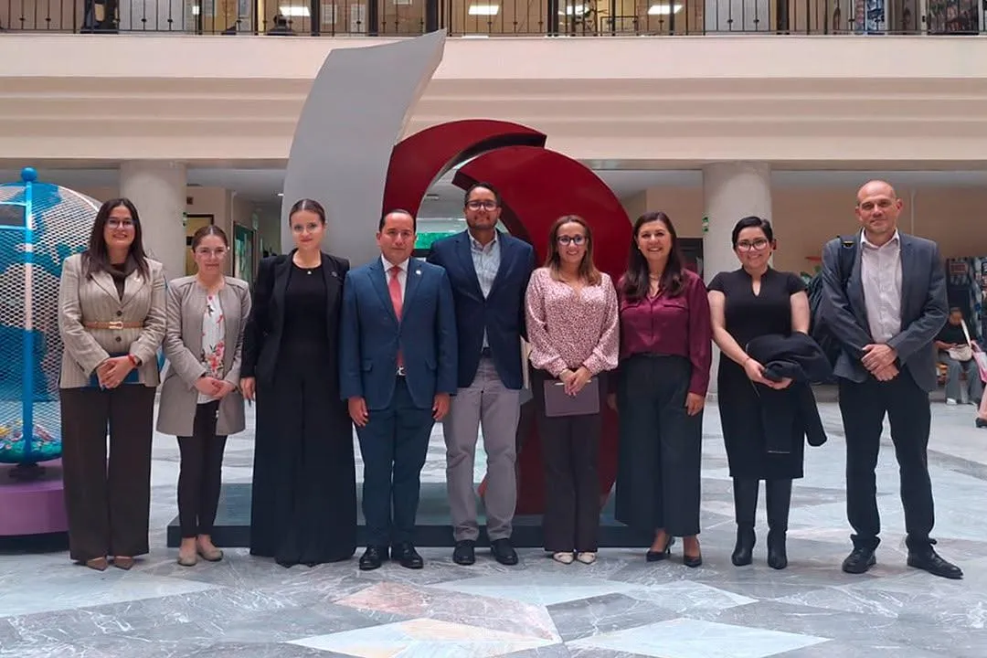 Poder Judicial Michoacán juzgados Estado de México