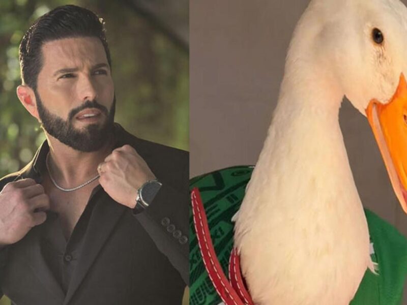 Poncho Denigris planeaba comprar al pato Merlín