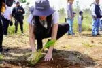 Reforestación en Michoacán, clave para la recuperación de ecosistemas y recursos hídricos