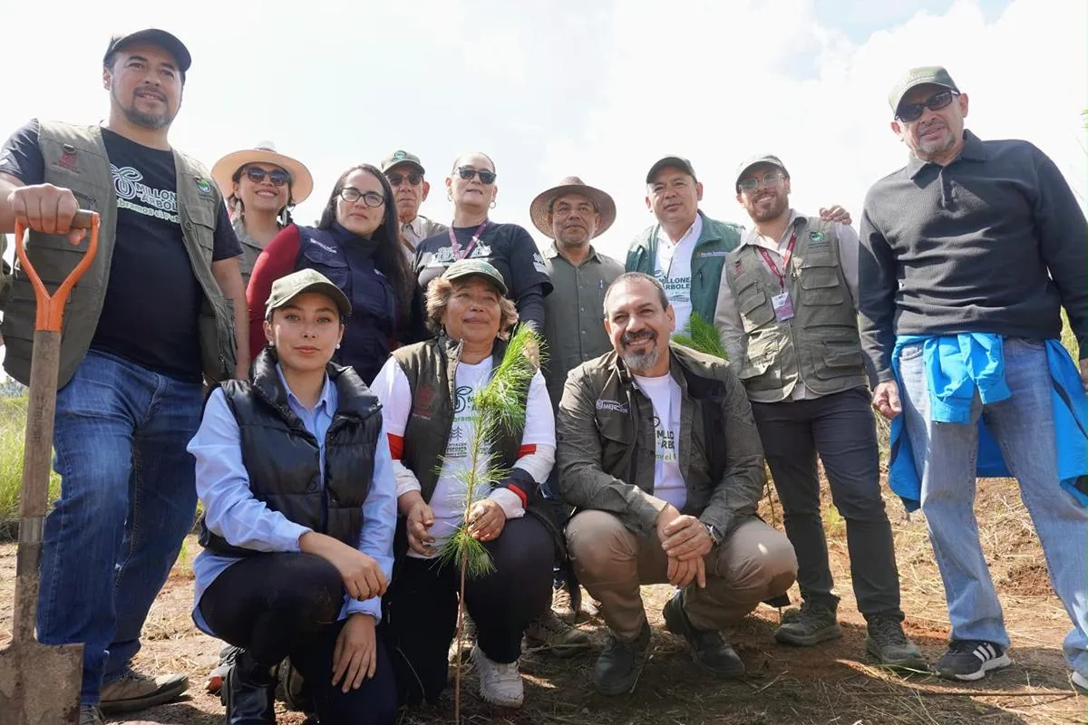 Reforestación en Michoacán clave para recuperación de ecosistemas