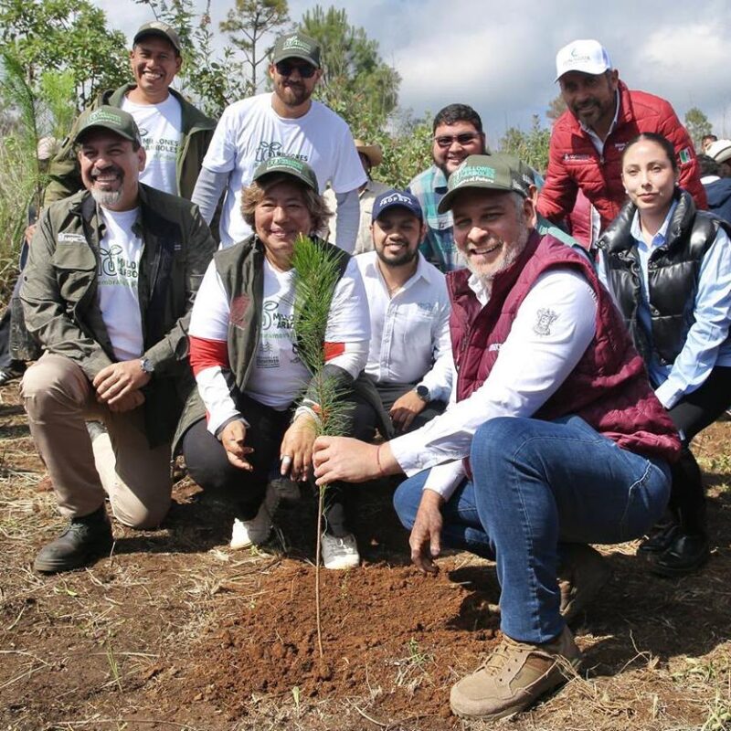 Sumarán 6 millones de árboles al rescate del lago de Pátzcuaro: Bedolla