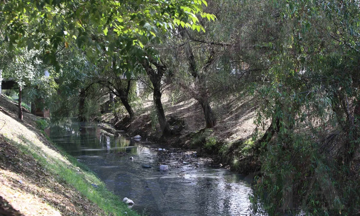 materia orgánica Río Chiquito